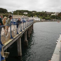 A group of participants standing on a pier, staring into the bay.