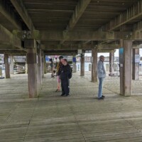 Group of participants looking around the underside of a pier.