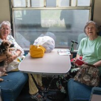 Two participants sat at a table on the train along with a pet dog.