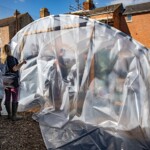 Rachel looking at the polytunnel with it's new cover, although it hasn't been properly fitted yet so it's very slack and wrinkled.