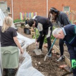 Two young people helping move soil to weigh down the edge of the new polytunnel cover as Rachel watches.