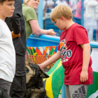 A young boy in a red shirt patting a dog at the 2024 Cultural Fayre.